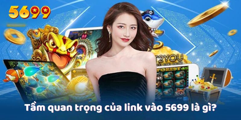 Tầm quan trọng của link vào 5699 là gì?