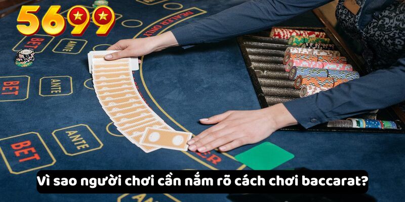 Vì sao người chơi cần nắm rõ cách chơi baccarat?